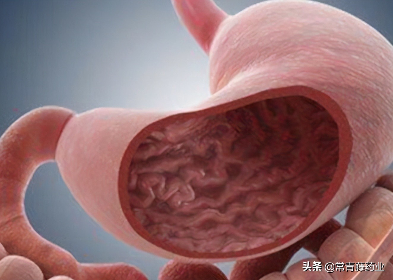 胃痛恶心是什么病,胃痛恶心反胃是着凉吗