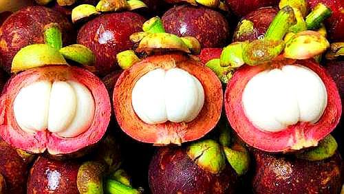 水果山竹硬的好还是软的好,山竹挑选皮硬还是皮软的