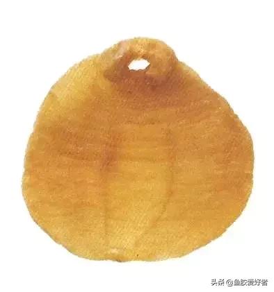 土鳘和赤嘴鳘的区别图片,鱼胶科普视频