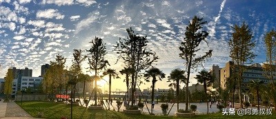 全国名校附中,云南师范大学附属中学全国排名