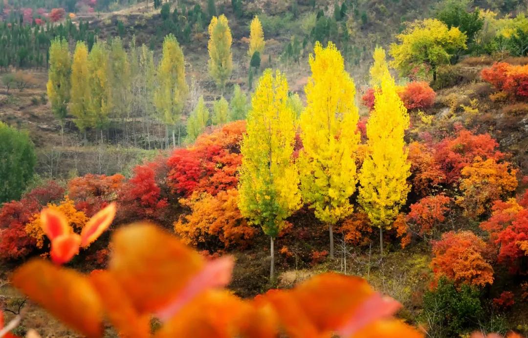 灵山秀水度深秋,灵山秀水堪称世外桃源