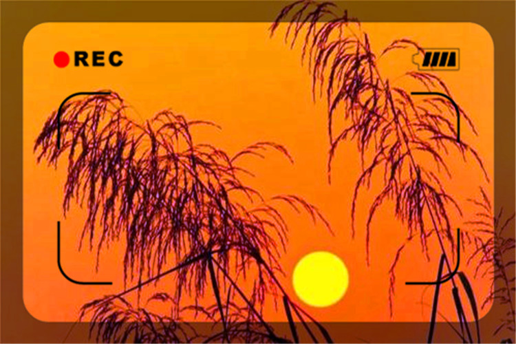 年轻人负债30万如何走出困境,37岁了负债30万如何走出困境