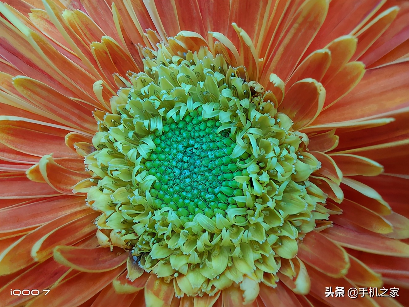 iqoo7和iqooneo5哪个值得入手,iqoo7pro与iqoo7有什么区别