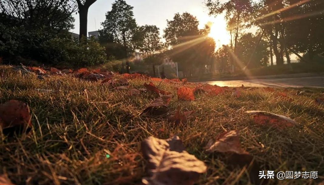 目前国内最有前景专科大学,国内实力最强的3所专科院校