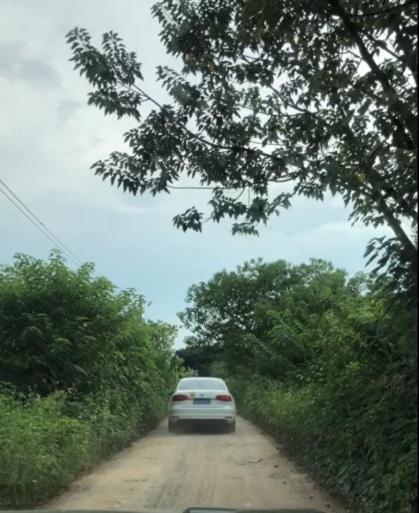 广东世外桃源——徒步紫云谷，负离子休闲胜地；吃农家乐，看日落