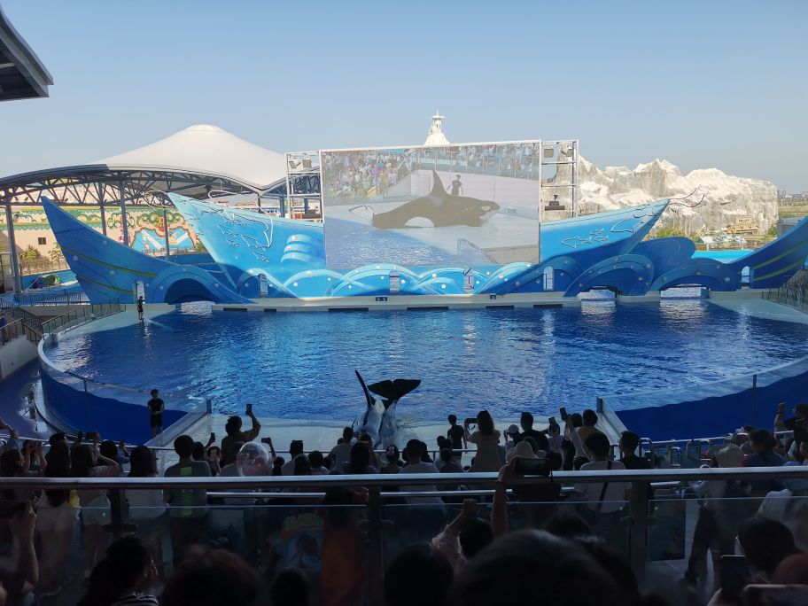 海昌海洋公园游玩攻略,武汉海昌海洋公园游玩攻略