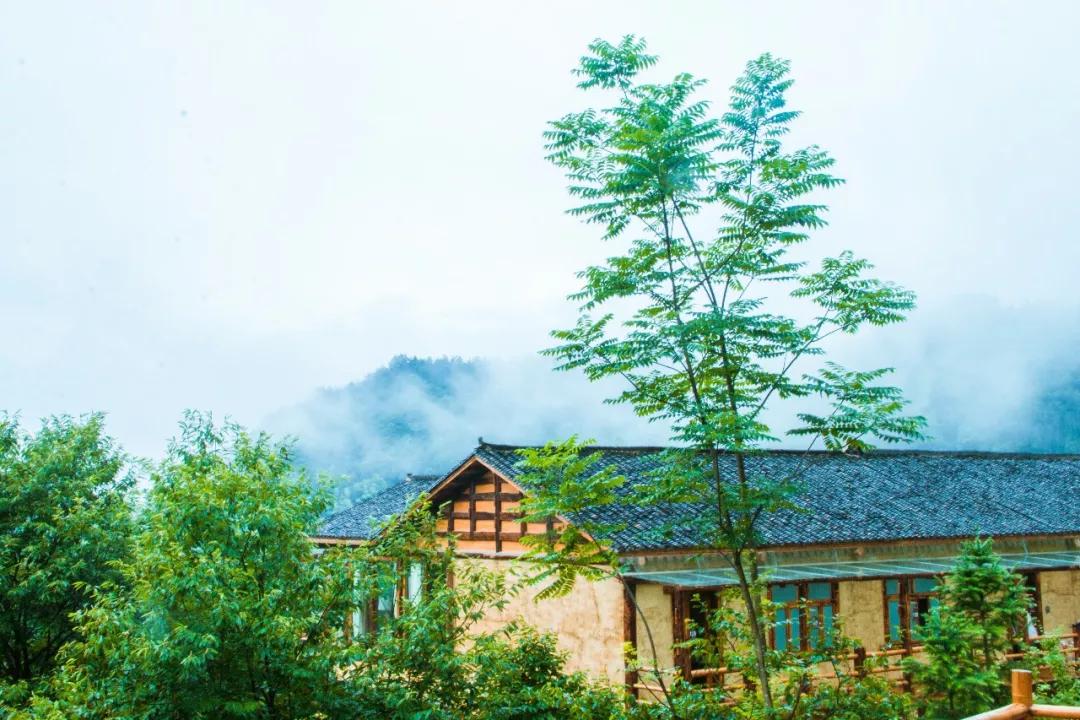 神仙眷侣辞掉高薪工作，爆改废弃山谷，造无边恒温泡池，全景树屋