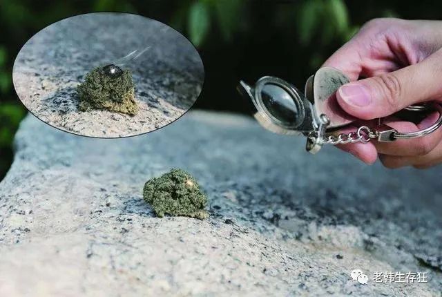 生存狂全套装备视频,生存狂开发山洞囤物资