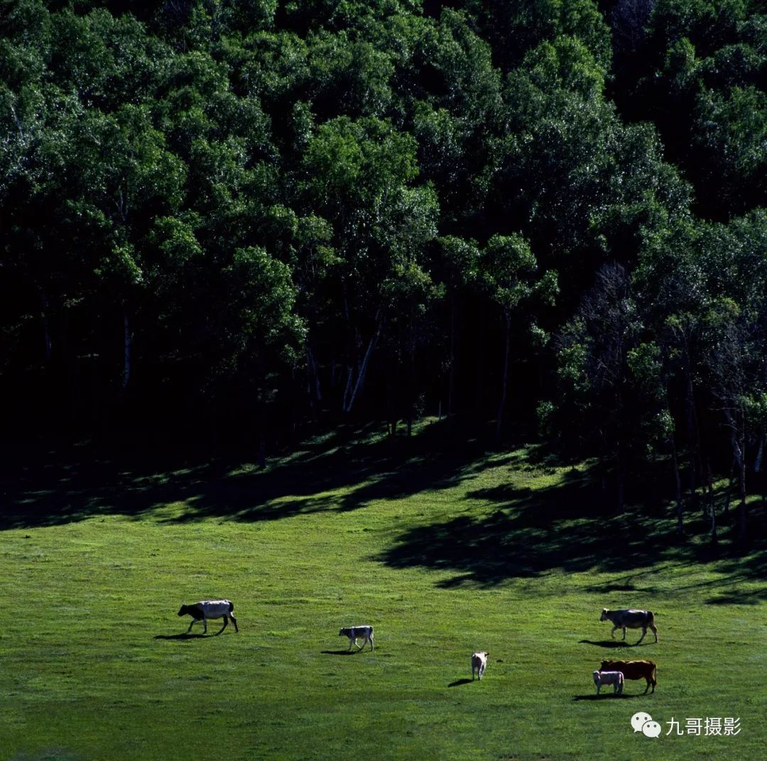 坝上草原天路美景,大美坝上风光系列之一