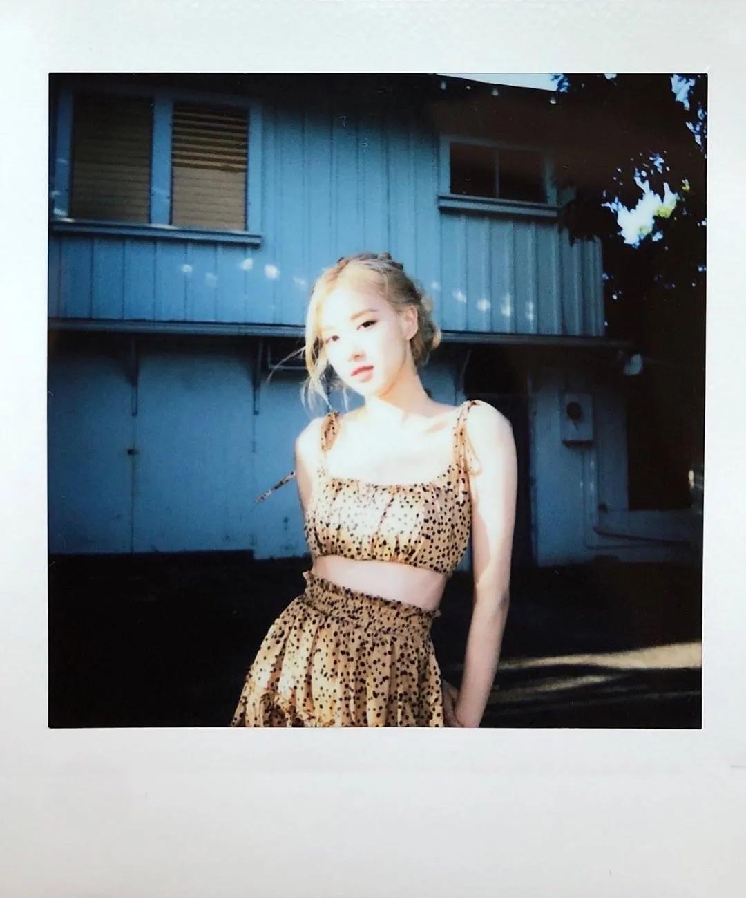 blackpink的朴彩英rosie,blackpink朴彩英澳洲玫瑰歌名