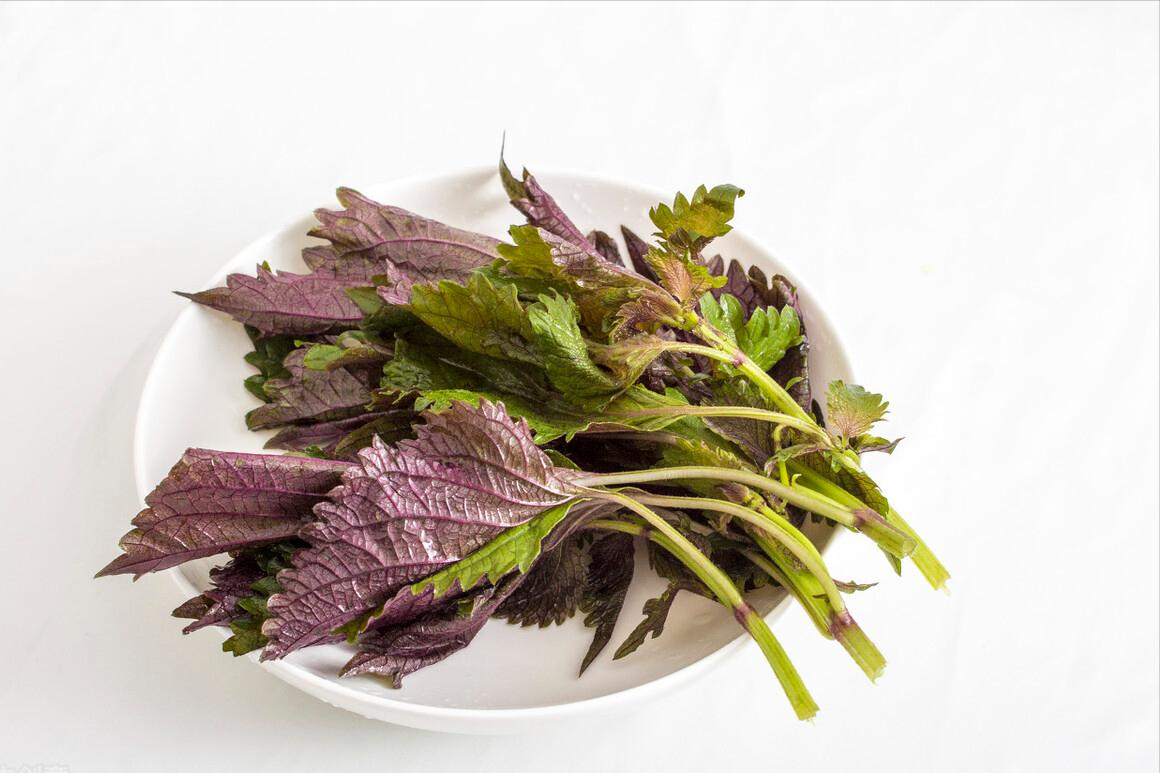 做菜常用的香料有哪些,常见香料做饭用法