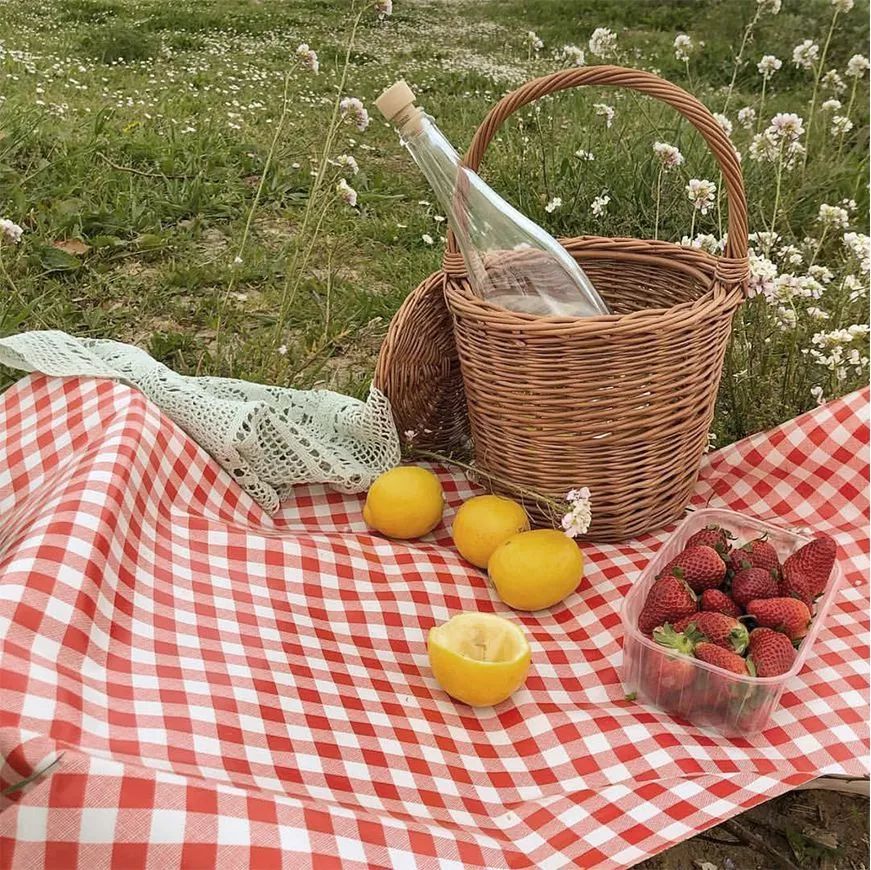 爱不释手的居家好物,春日限定好物推荐