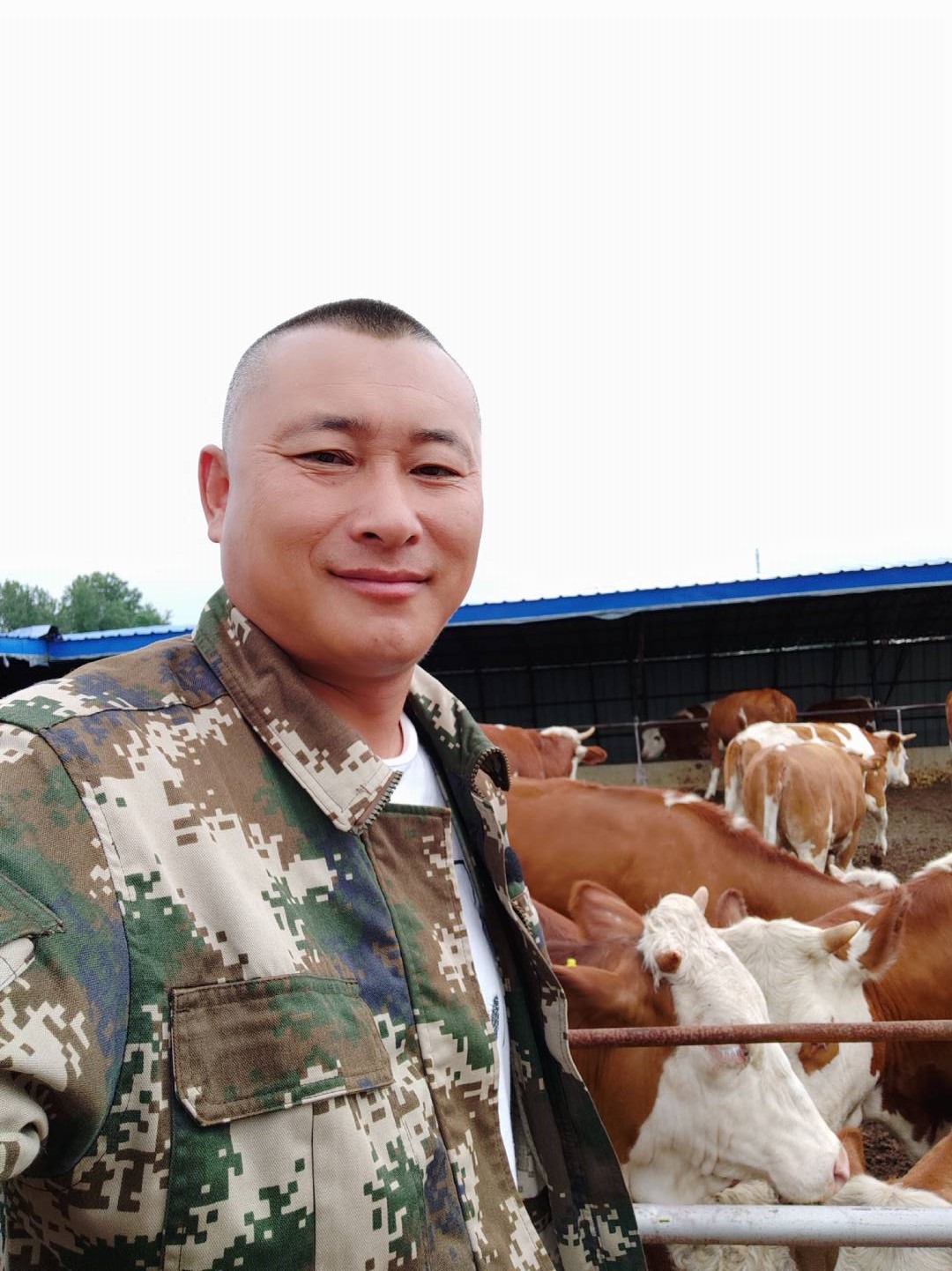 养牛合作社的运作方法,养牛合作社怎么弄