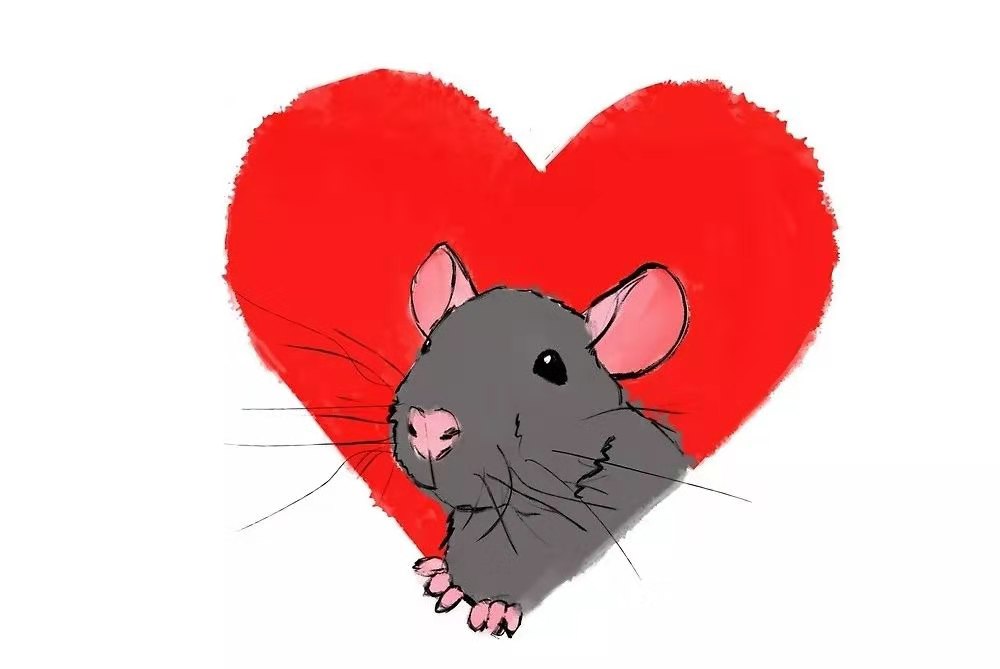 花枝鼠妈妈难产，作为主人如何帮它渡过难关？