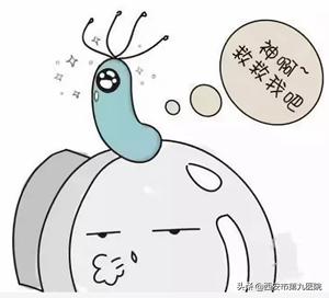 幽门螺杆菌的自述,幽门螺杆菌的自我介绍