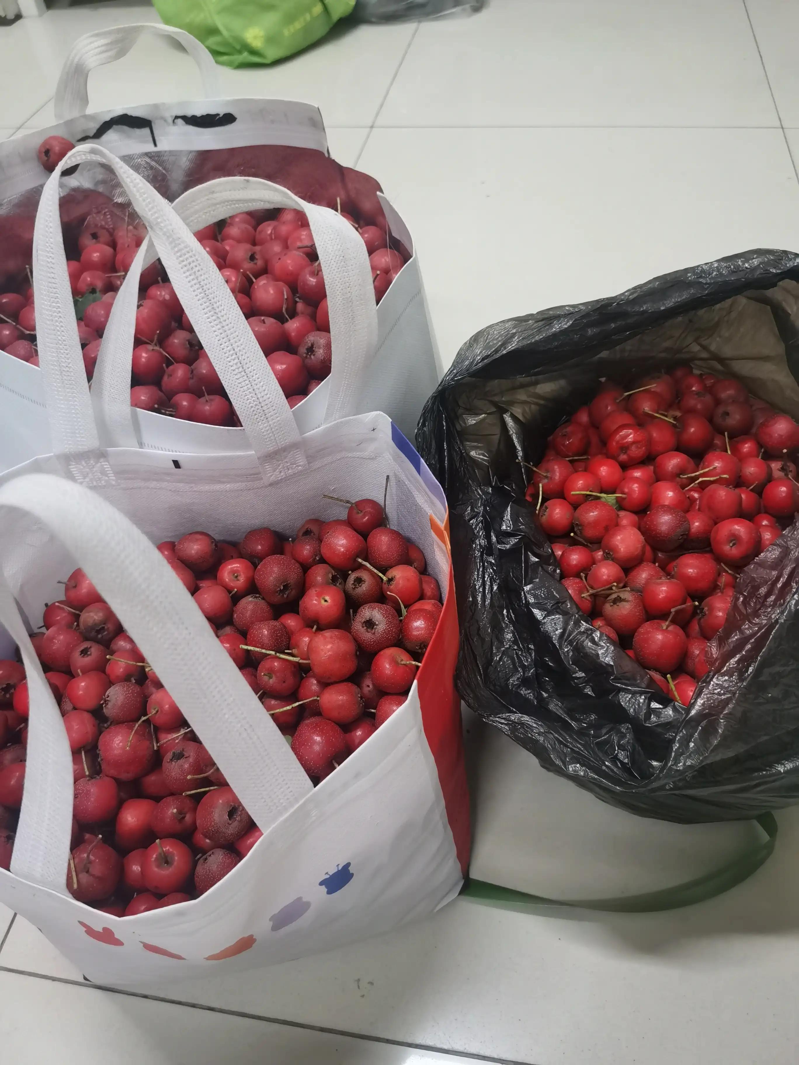 我的花样人生,我的花样人生视频