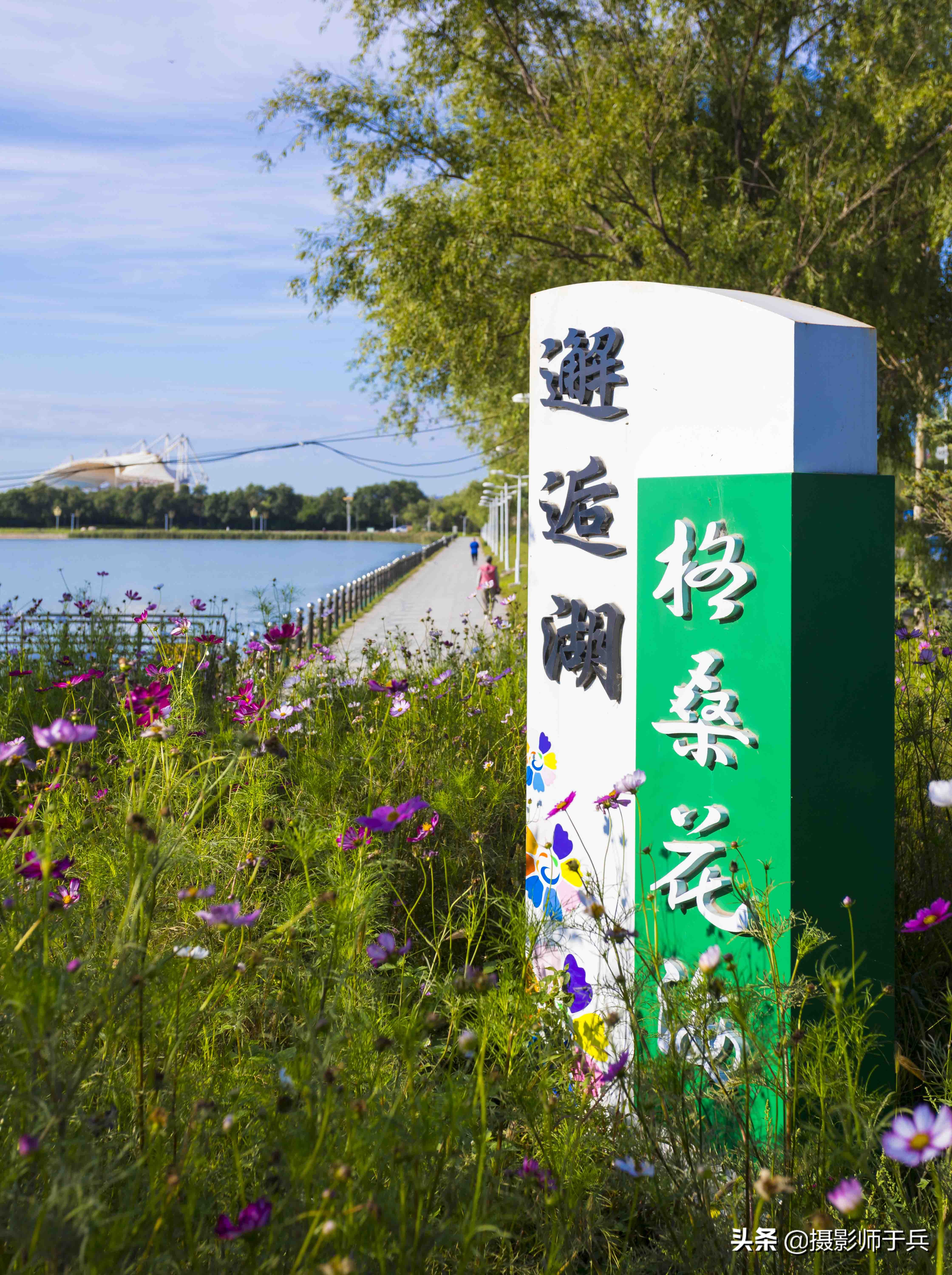 大庆市最好玩的湖是哪些湖,大庆百湖有什么好玩的景点