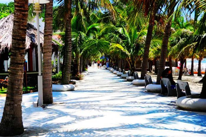 广东的海岛和海南的岛能比吗,广东的一个小岛