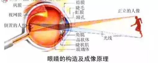 有问必答解疑惑,有问必答疾病知识