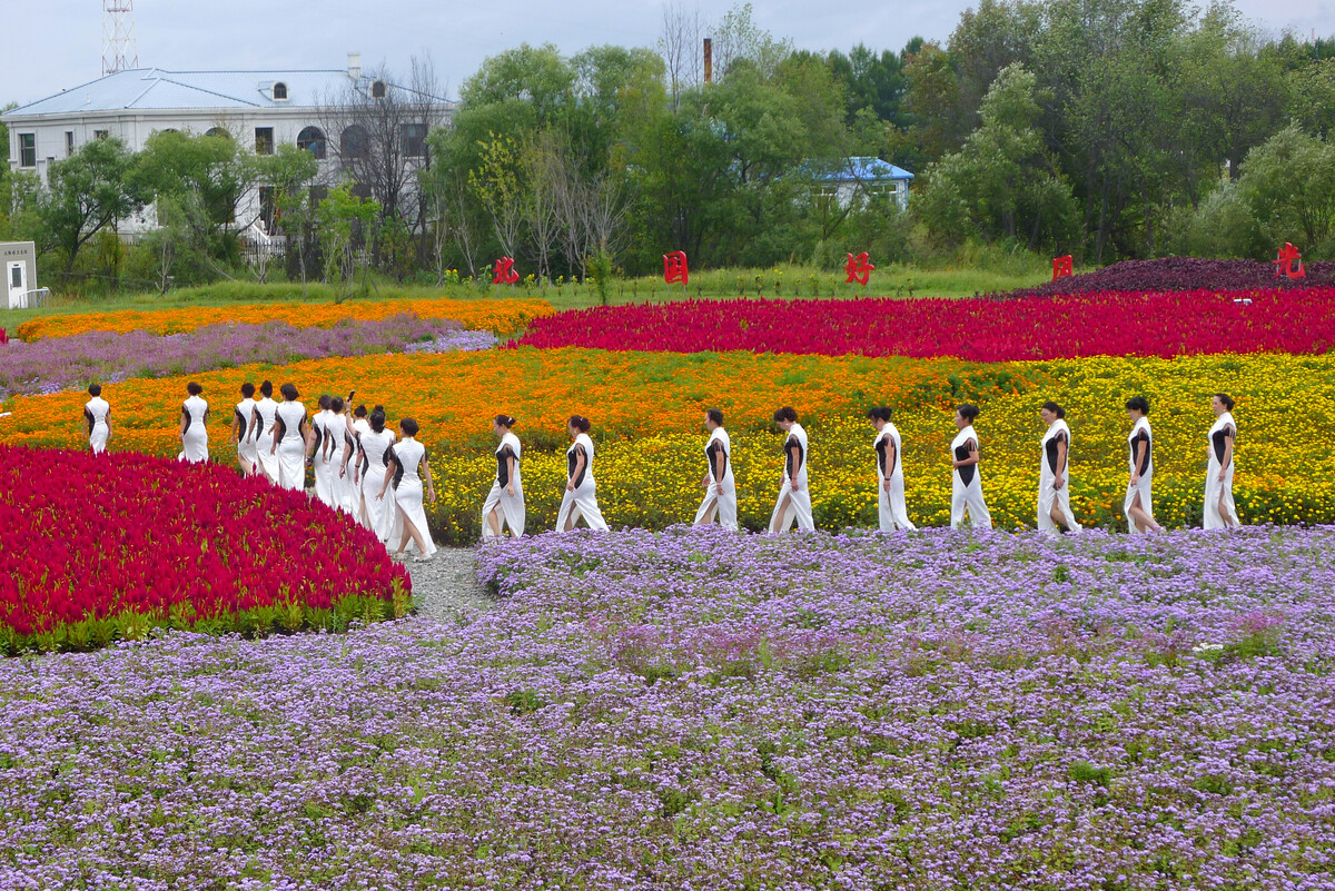 黑河市区有多大面积,黑河市最小的县