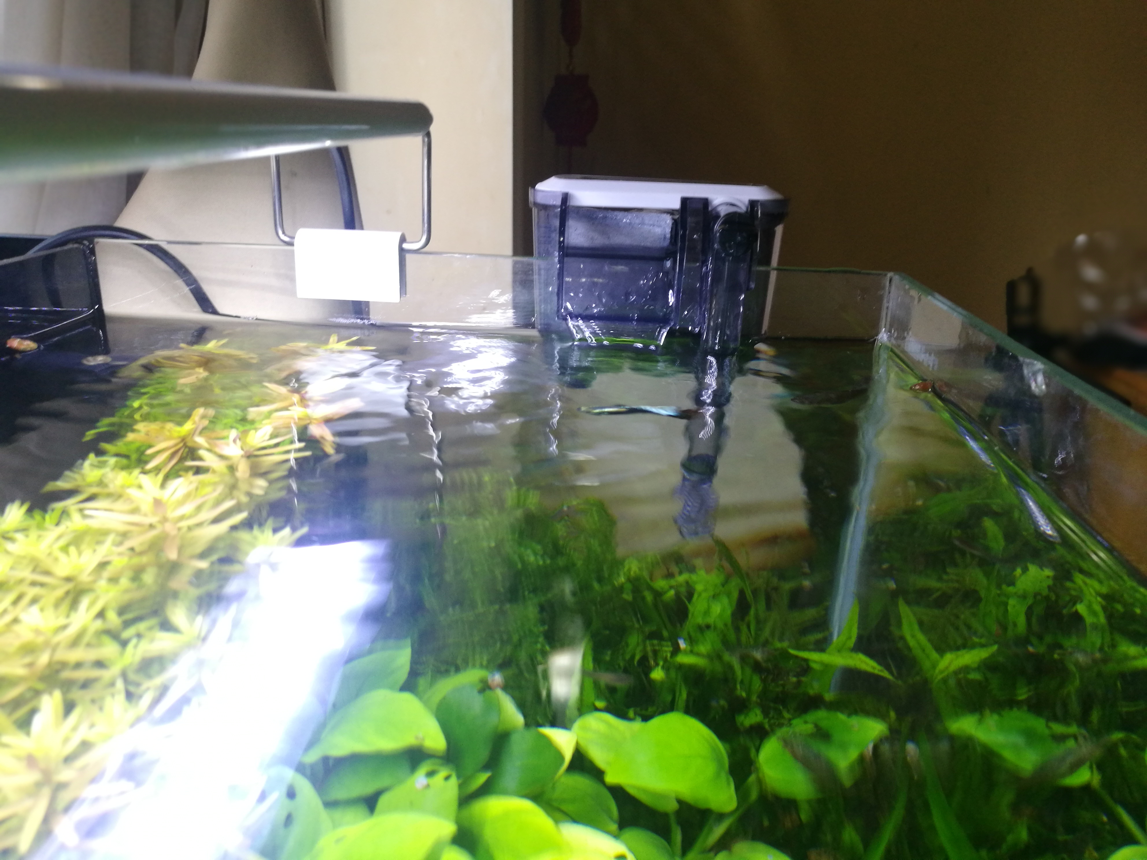 鱼缸提高过滤效率的方法,侧滤鱼缸过滤效率