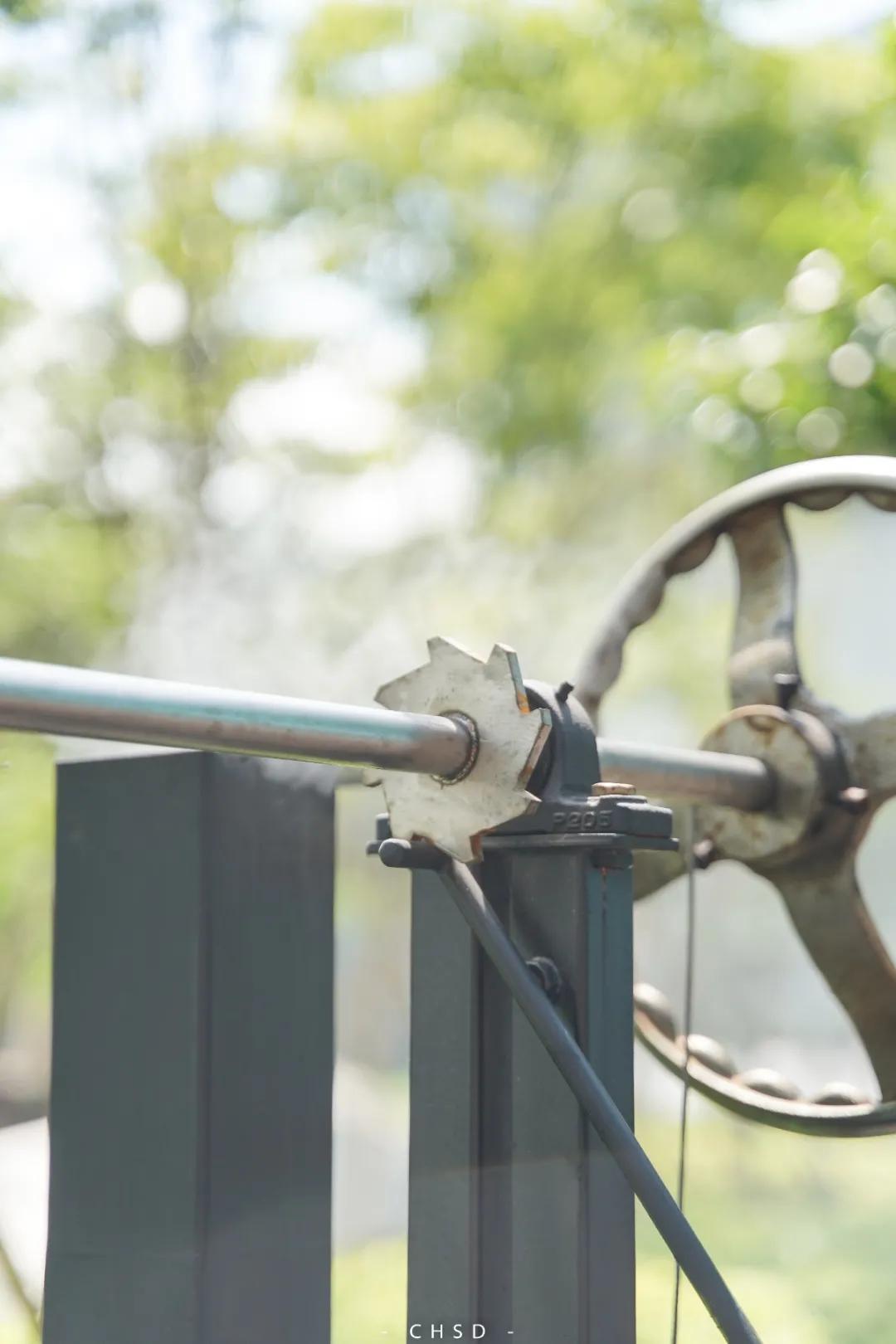 明星都来打卡的店,众多明星大咖打卡的酒店