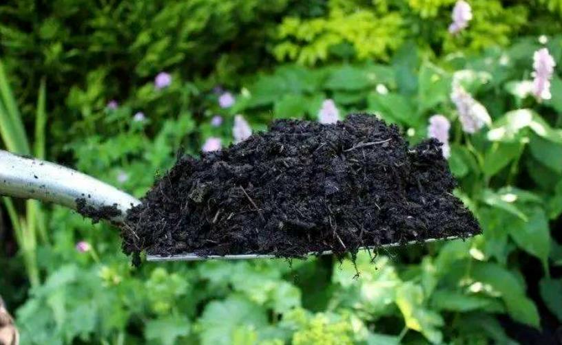 盆栽植物怎么浇水土不流失,盆栽里的土有点板结