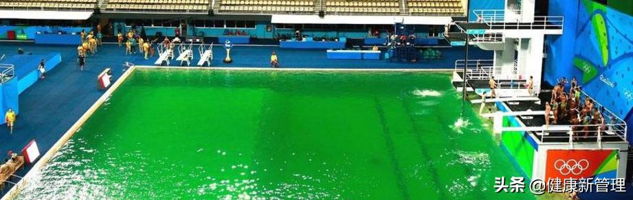 迎战奥运，也别忘了预防病理性头屑、头油及头皮瘙痒