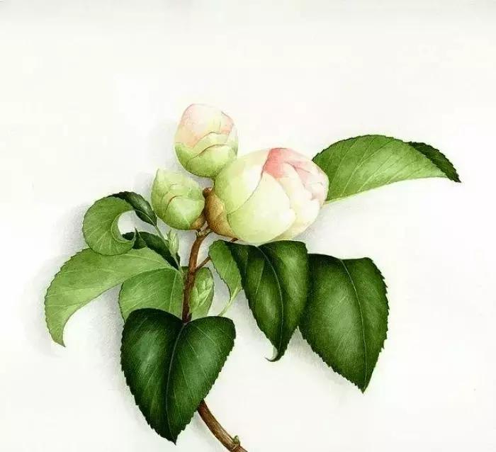 情感语录有些人看清了也就看轻了,情感语录句句穿透人心这就是生活