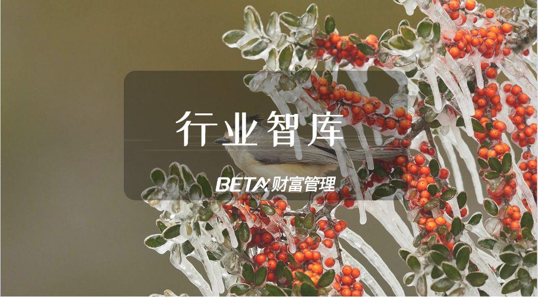 beta璇佸埜,beta鍩洪噾