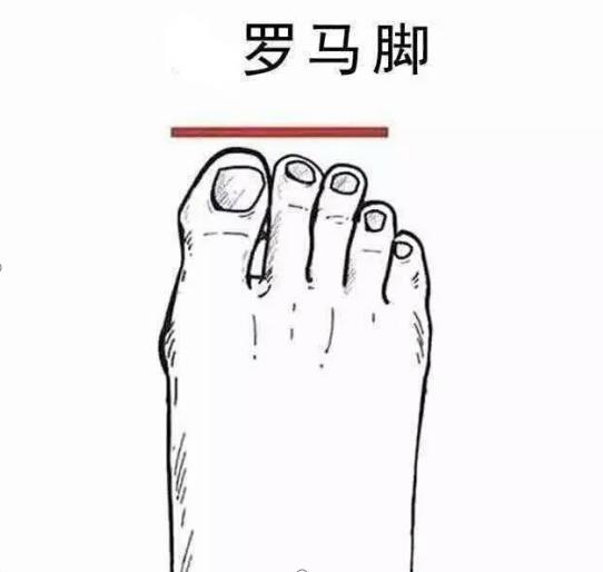 脚型分埃及型希腊型还有什么型,脚型希腊脚