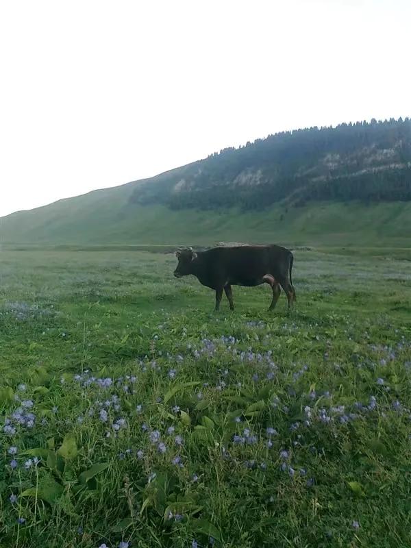 我眼中的历史完整视频,我眼中的历史是什么