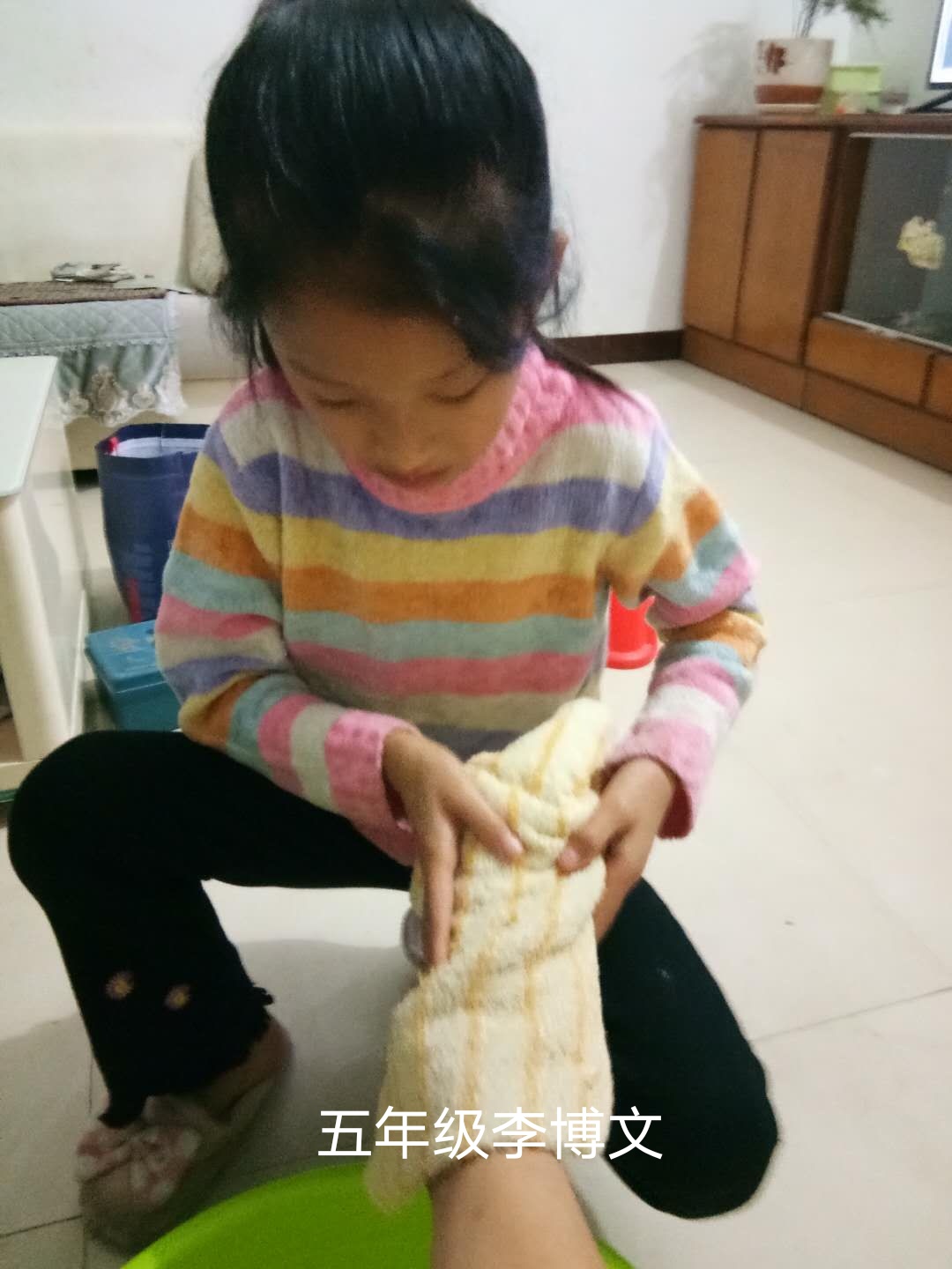 九九重阳节尊老爱老活动,九九重阳节尊老敬老把爱带回家