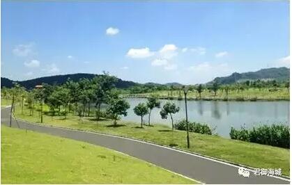 佛山会向高明发展吗,佛山高明镇发展前景