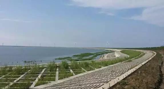 宁波周边踏青免费一日游,宁波踏青游玩的景点