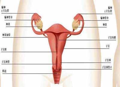 62岁,面临一场4级妇科手术