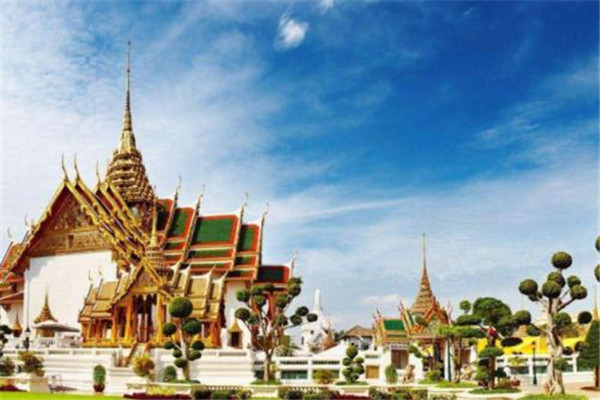 妖娆的泰国人妖，背后竟是以“生命”为代价，注射过程令人心疼