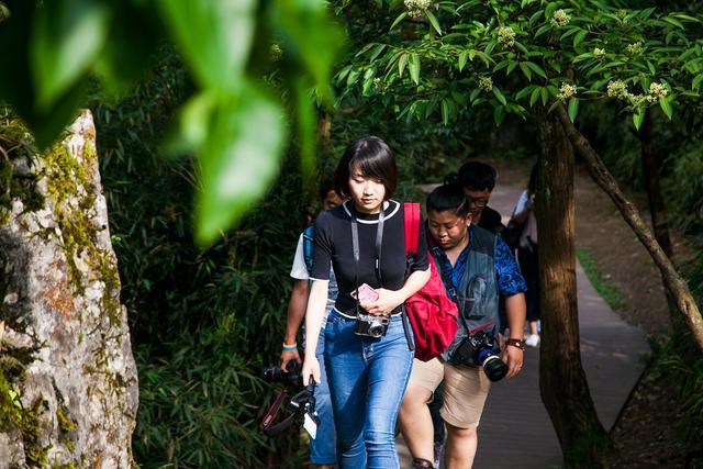 小平故里到华蓥山花海人家要多远,广安华蓥山小平故里