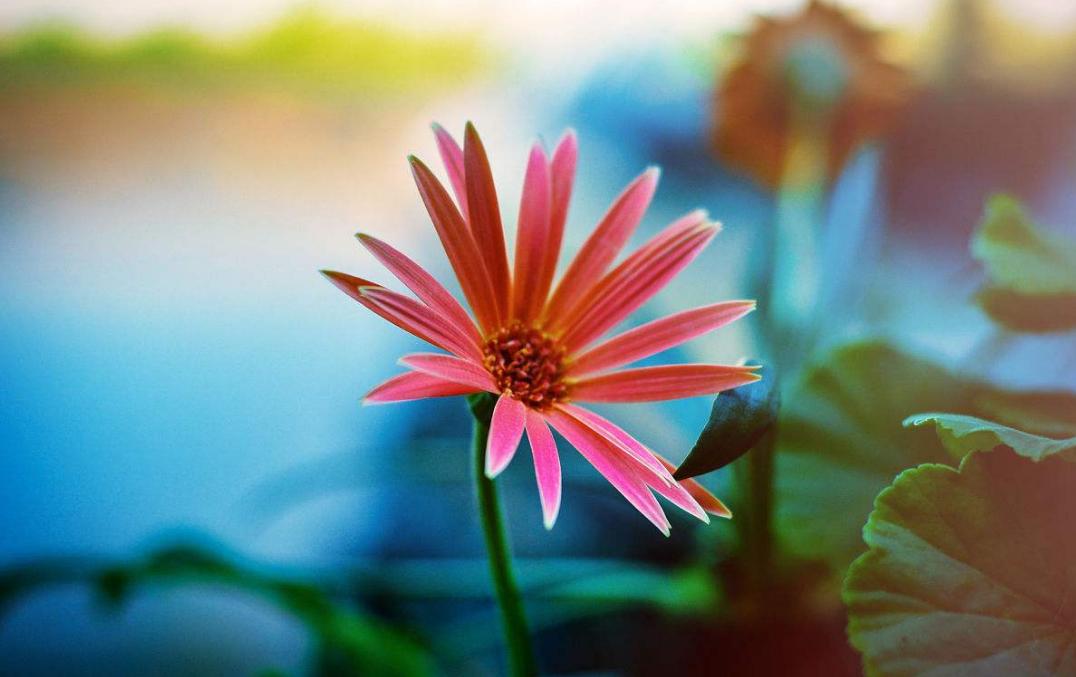 人到三十还没有成就,人到三十没钱忽然需要钱怎么办