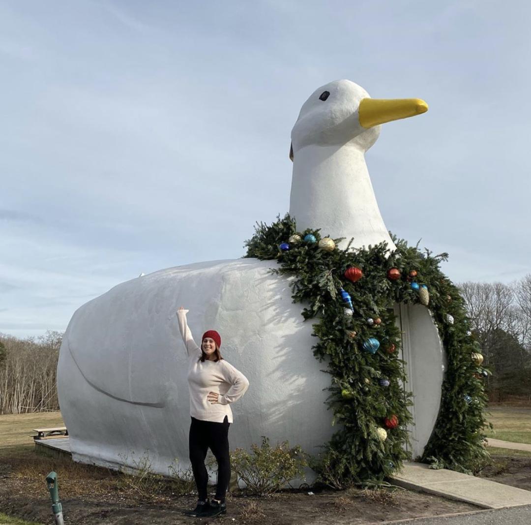 看了就想养的宠物,看了就想养宠物的视频