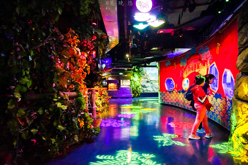 海洋极地海洋世界攻略,正佳极地海洋世界白鲸海象