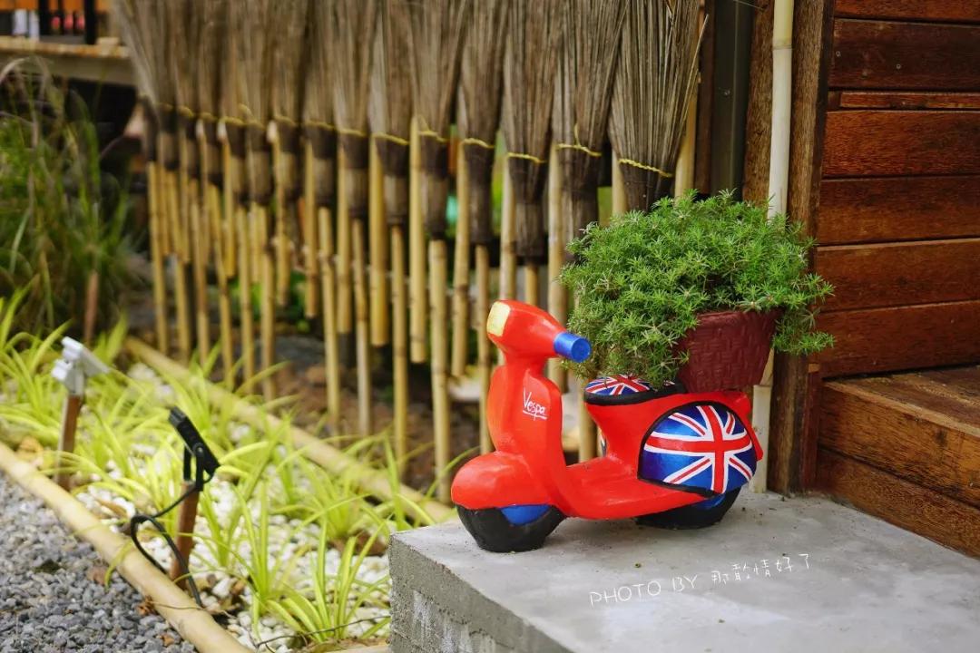 美国艺术家老夫妇定居苏梅岛十年，教游客画垃圾桶，唤醒环保意识