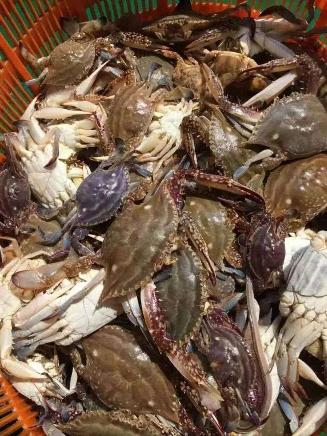 我，出海打鱼十五年，月薪1.2万，最后差点命丧大海