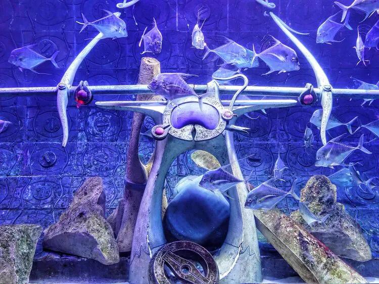 迪拜旅游景点攻略图大全,迪拜周围景点旅游攻略大全