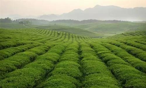 贵州5-10天自驾游详细攻略路书,最新贵州旅游攻略大全