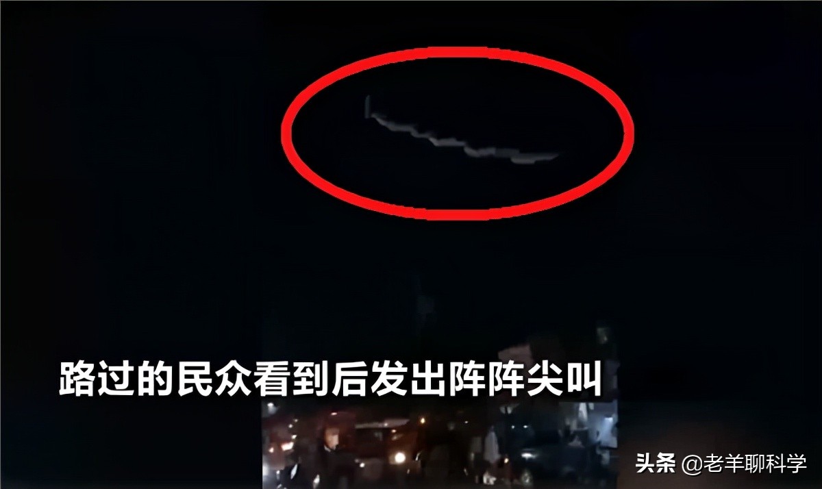 菲律宾电线掉下巨蟒,菲律宾电线上的蟒蛇后续