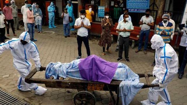 印度疫情混乱,檀香精油一涨又涨,市场假货泛滥,真假难辨