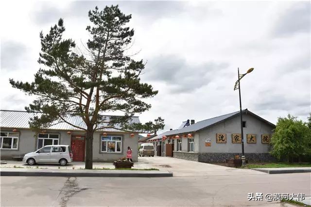 森林草原自驾游,森林亲子旅游攻略图片大全