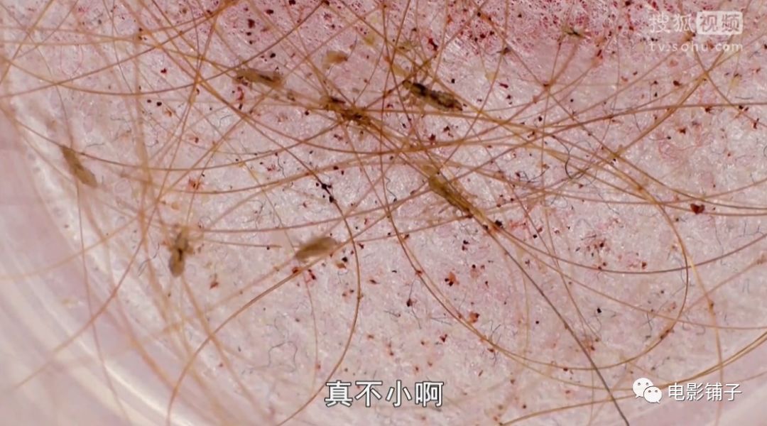 主持人用生命拍片系列，大写的牛掰