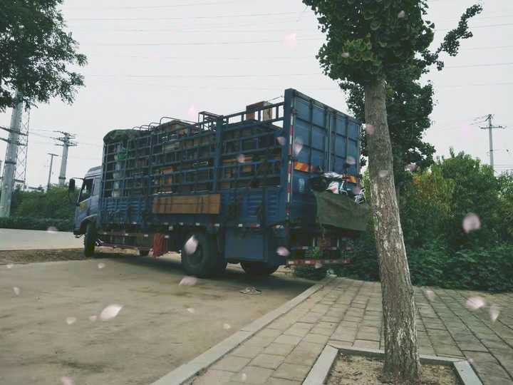 讨论一下什么是爱,讨论一下什么是性价比